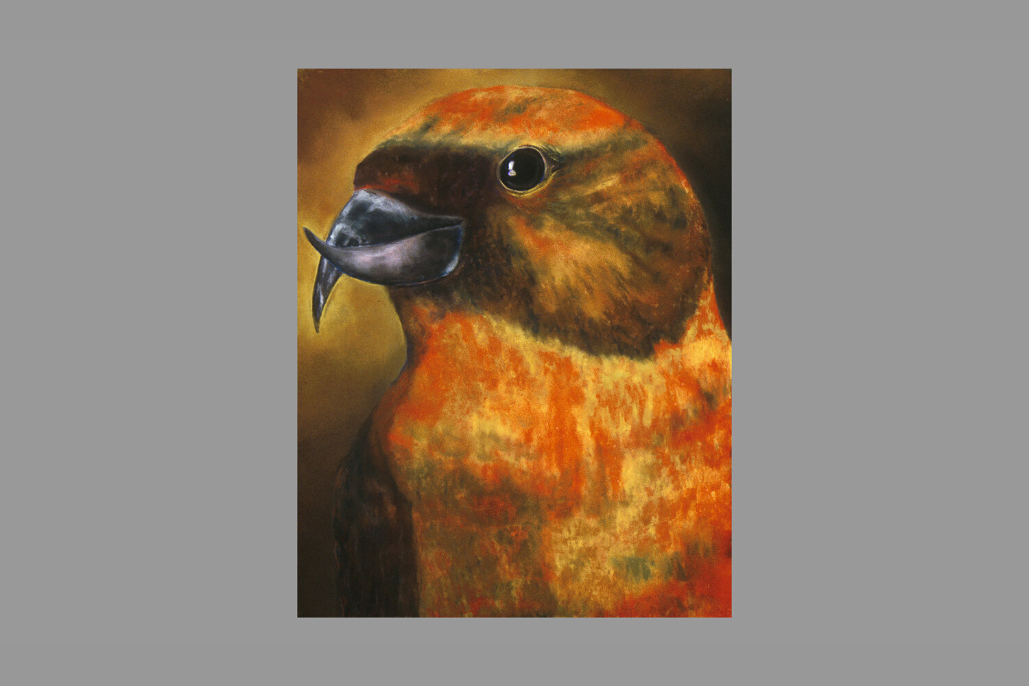 "Crossbill Finch"