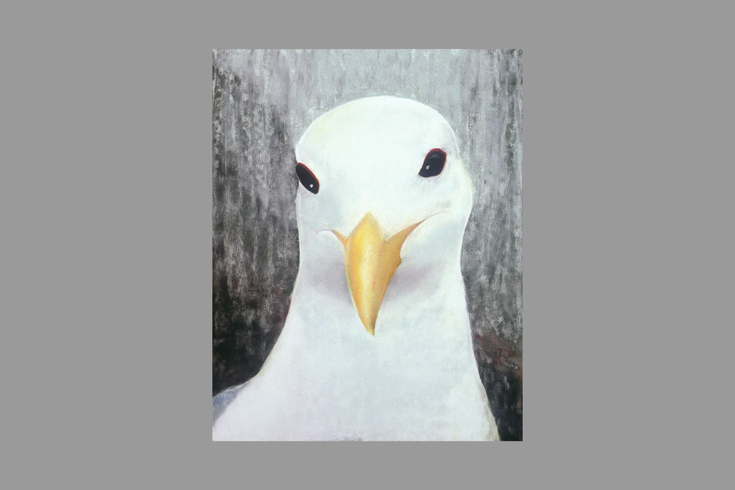 "Portrait of Gull"