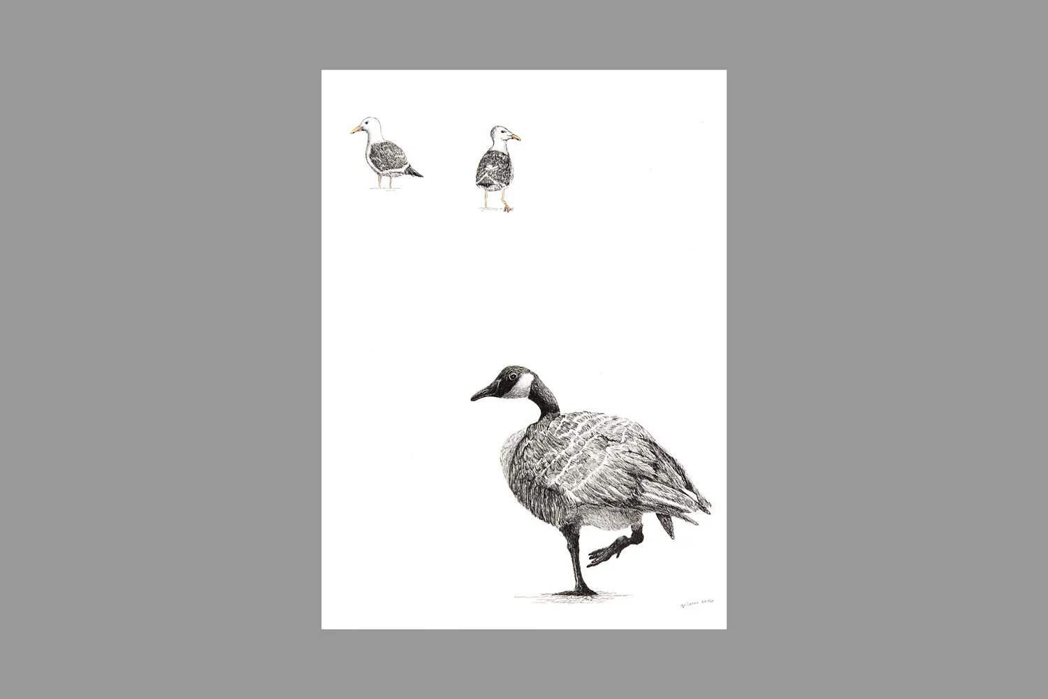 "Goose and Two Gulls"