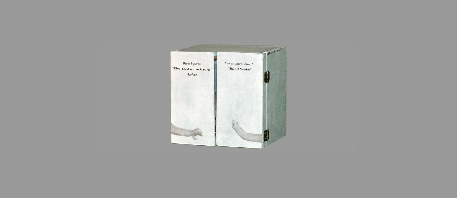 "Blind Snake" (closed) (SOLD)