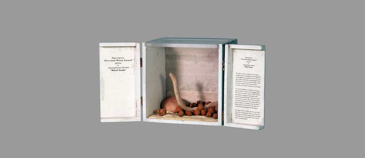 "Blind Snake" (open) (SOLD)