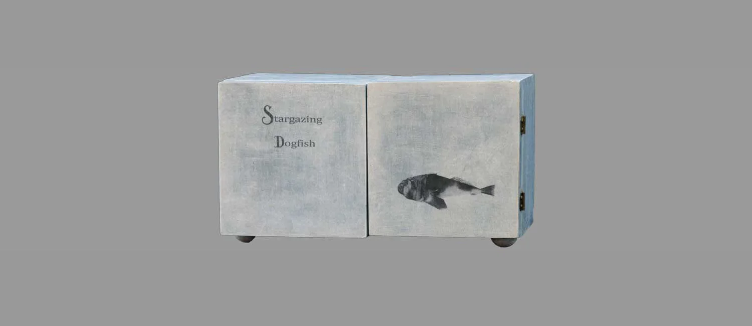 "Stargazing Dogfish" (closed)