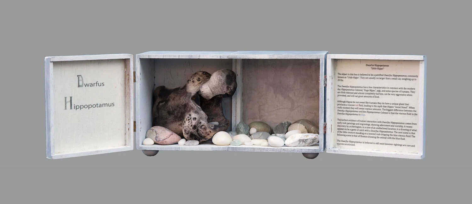 "Dwarfus Hippopotamus"  (open) (SOLD)