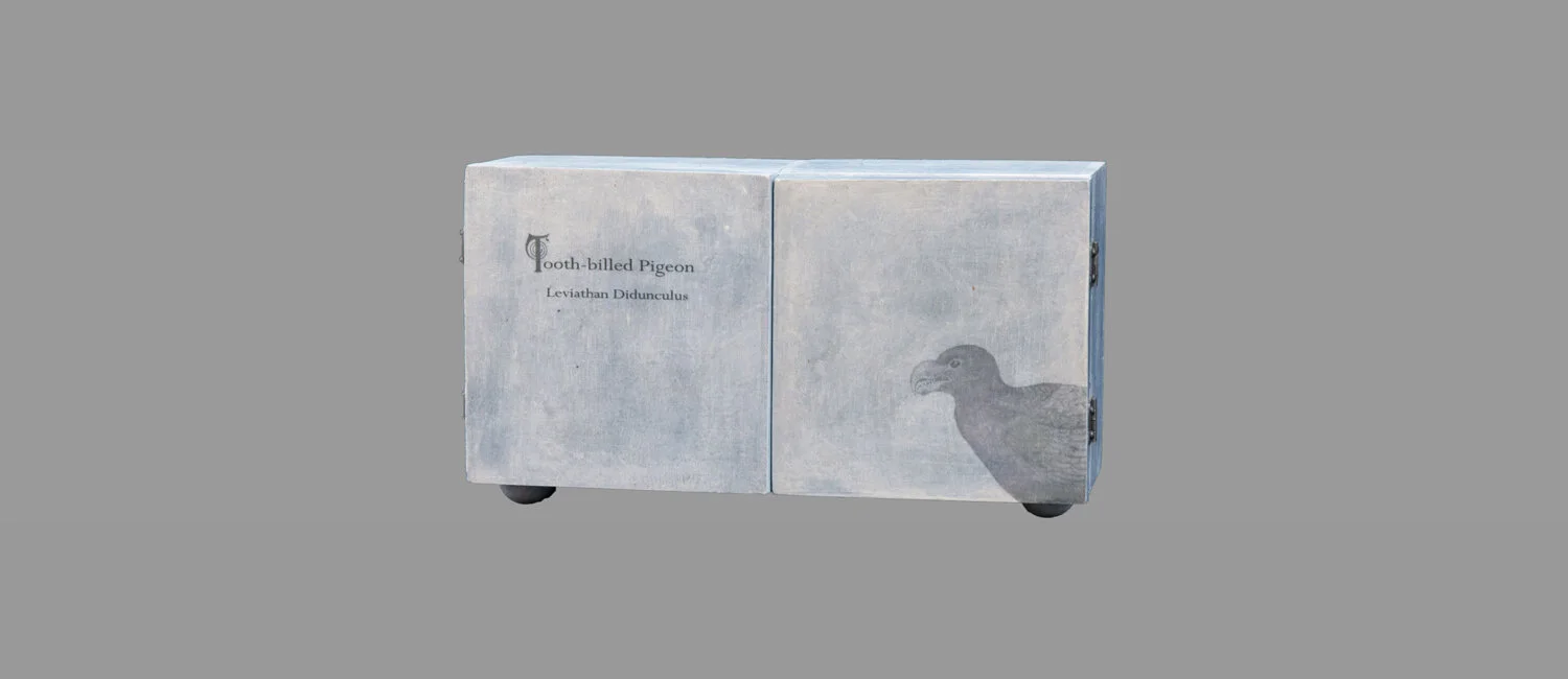 "Tooth Billed Pigeon" (closed)