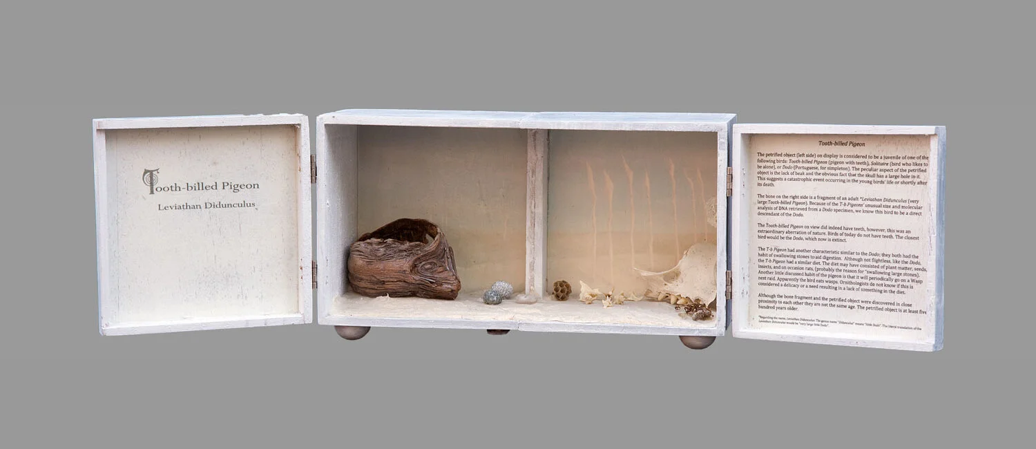 "Tooth Billed Pigeon" (open)