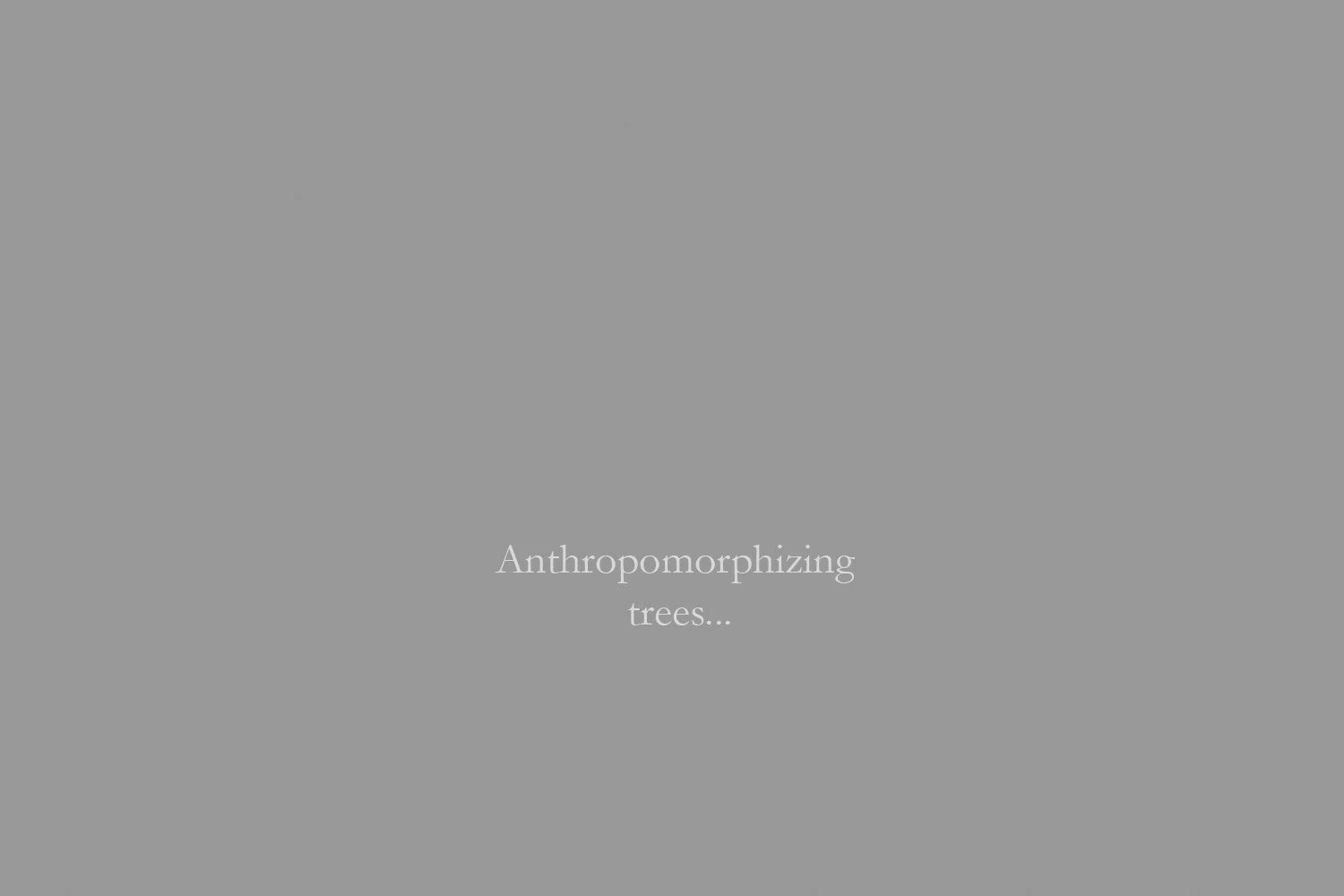 1-banner-60-grey-white-tree-paintings-large-type.jpg