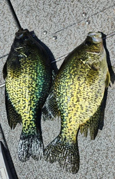 a37355ec-4720-4590-a84d-580059f2e0cc.jpg