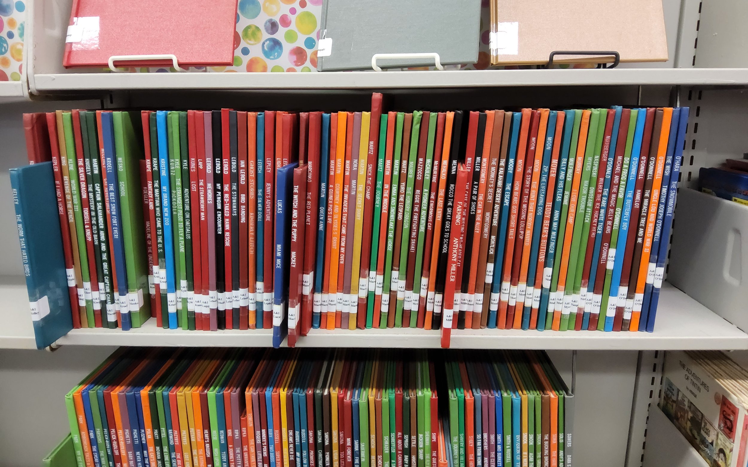 Young Author books on library shelf.