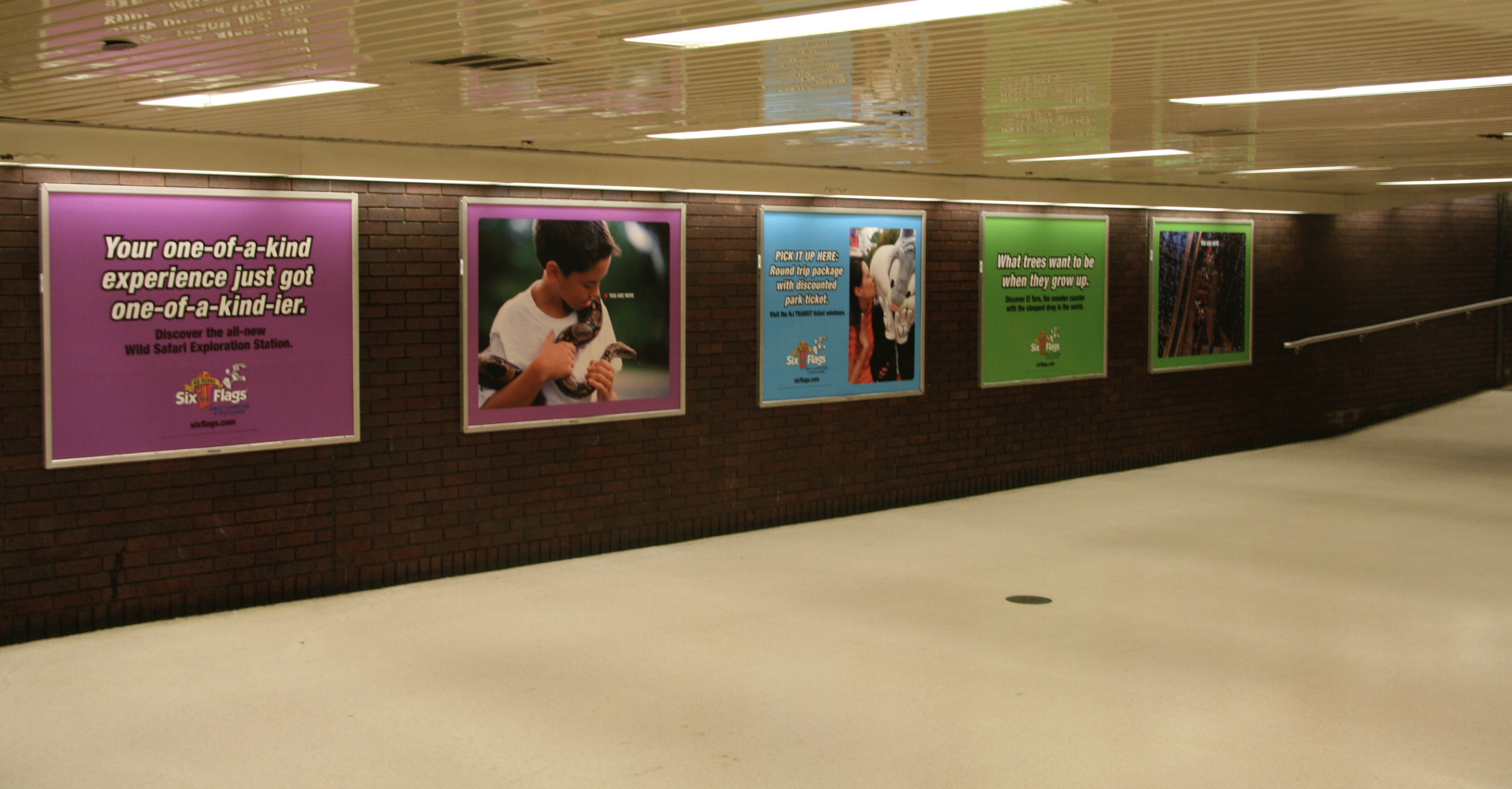 Screen Shot 2017-02-21 at 4.16.33 AM.png