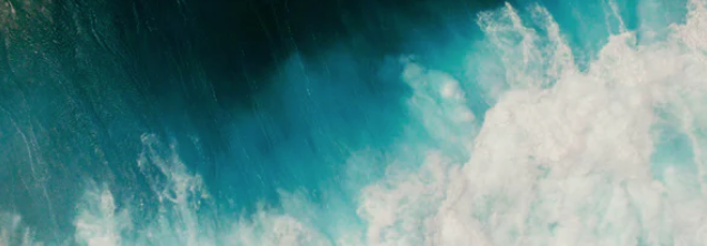 Screen Shot 2018-12-31 at 11.00.43 AM.png