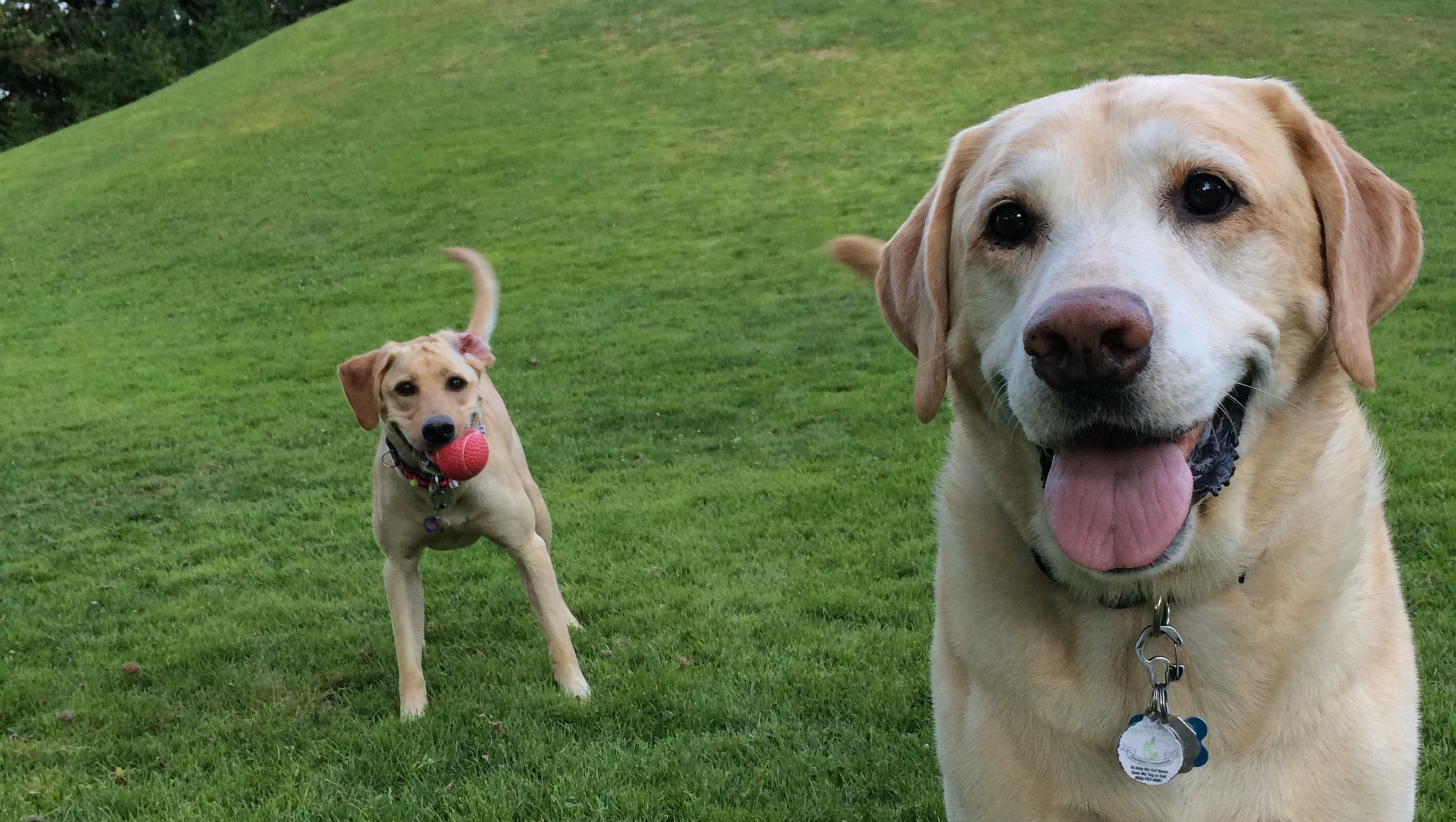 George and his big Smile with his sister Gracie