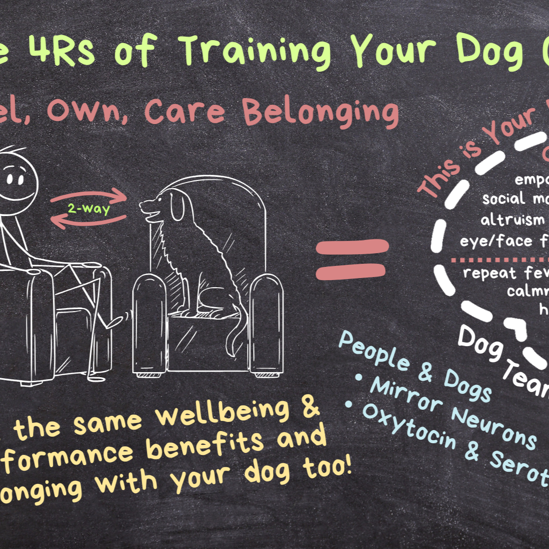 The 4Rs of Training Your Dog & Yourself: How Neuroscience Guides Lasting Behaviors and a Great F.O.C.n' Dog!