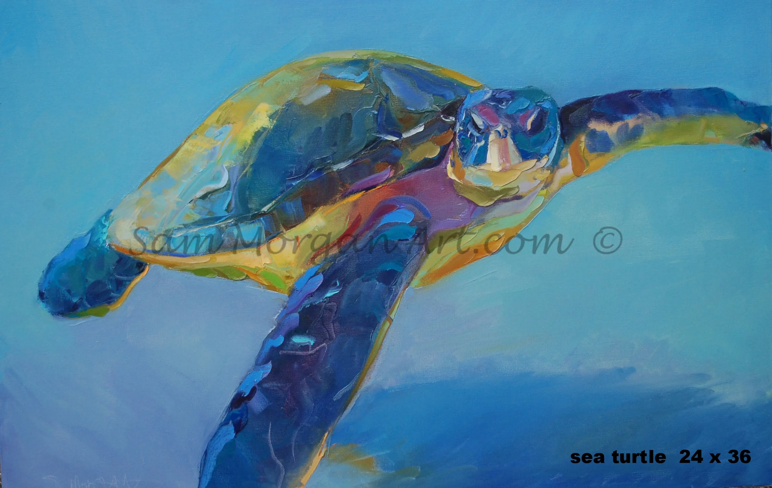 turtle1 copy.jpg