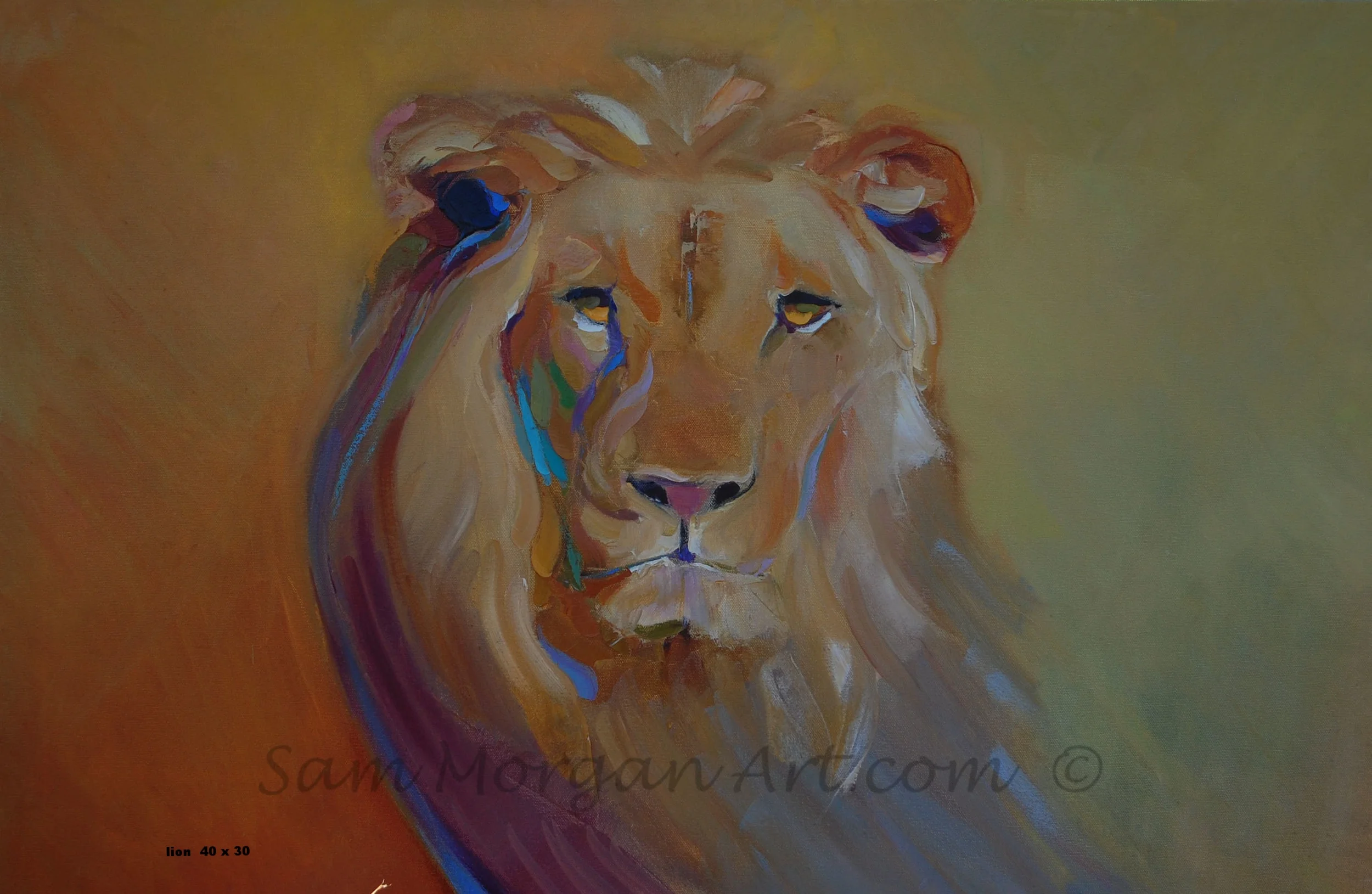 lion face.jpg