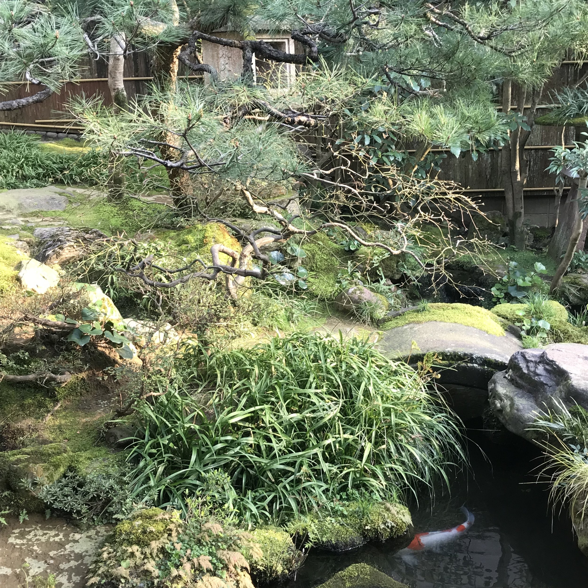 IMG_0517.jpeg