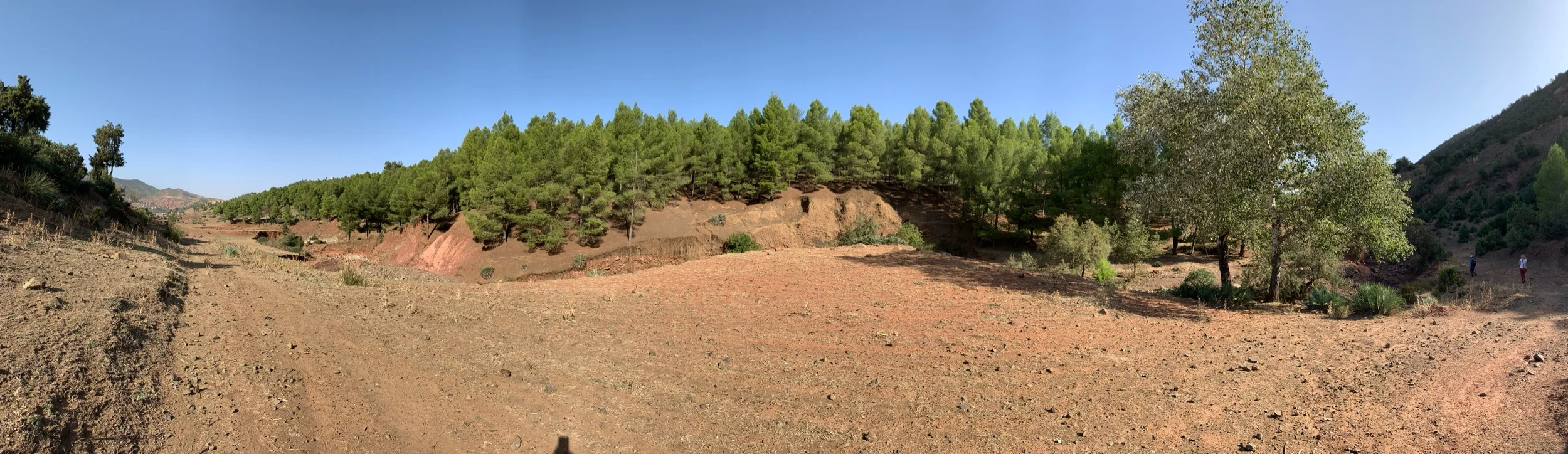 Day 5: Let’s go for a Hike.. She said...