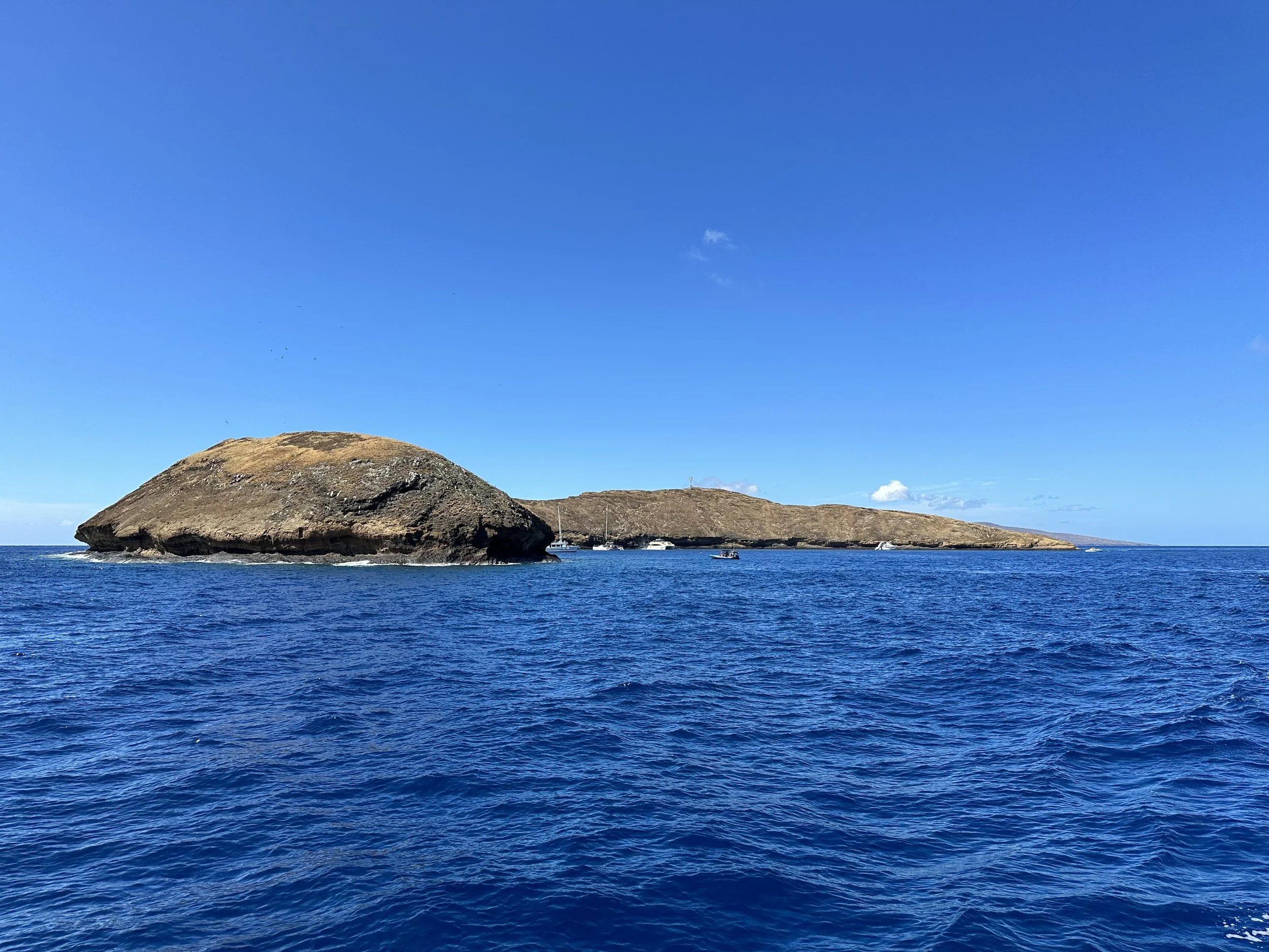 Day 16 &amp; 17 Maui