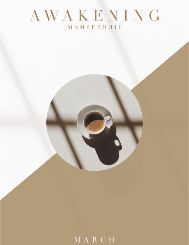 Screen Shot 2019-02-28 at 11.05.23 AM.png