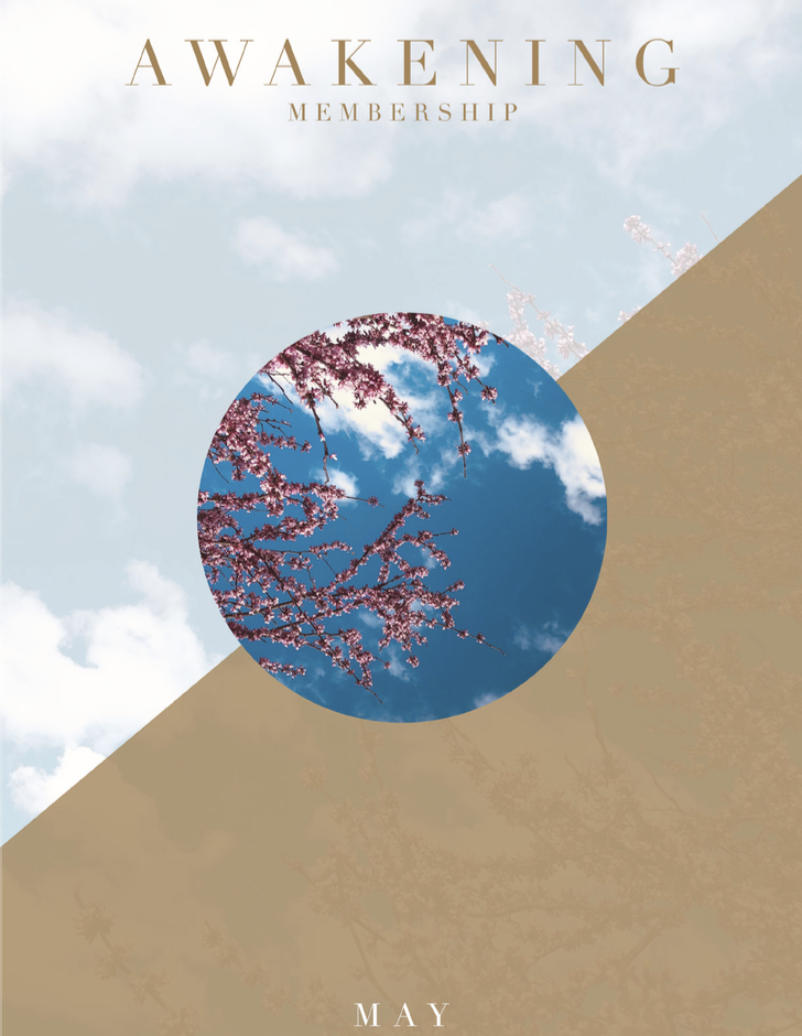 Screen Shot 2019-04-30 at 2.45.57 PM.png
