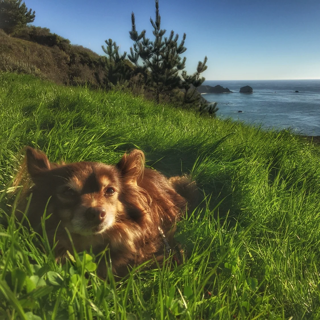 ROTR--5-BigSur.jpg