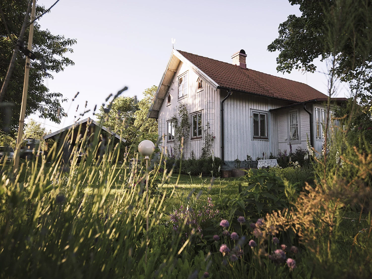 Top gepflegter Garten mit vielen Blumen