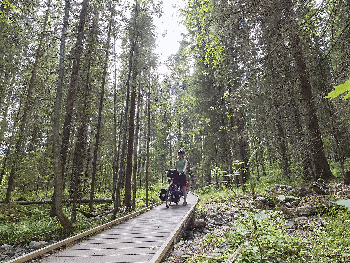 Der Weg durch den Skuleskogen Nationalpark fängt vielversprechend an