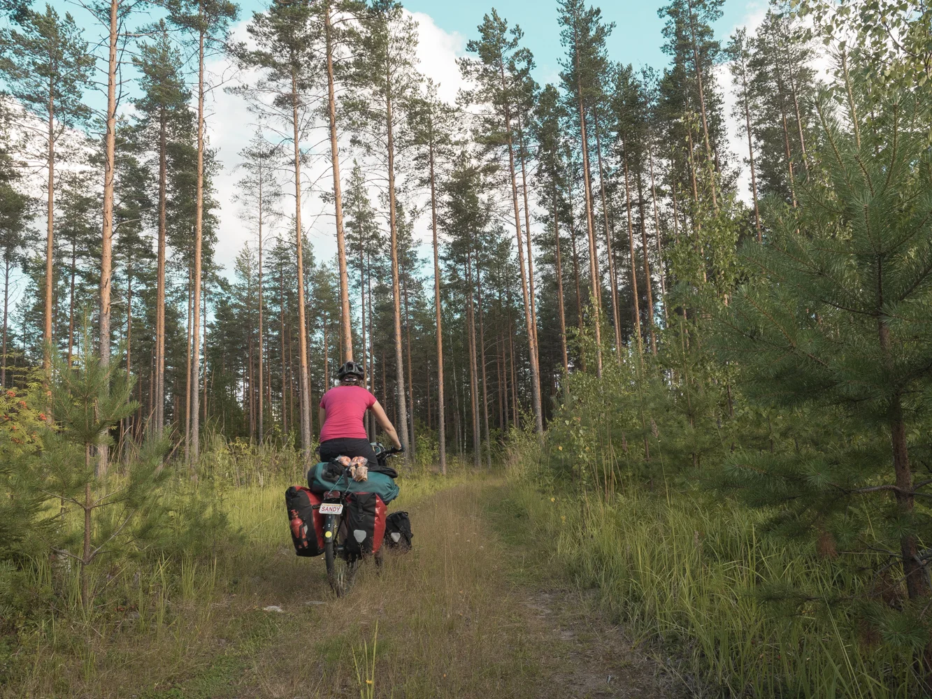 Manchmal führt uns das GPS über lustige Wege