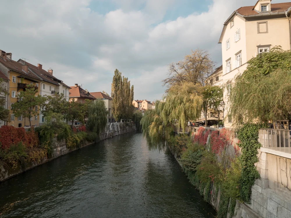Der Laibach (Ljubljanica)
