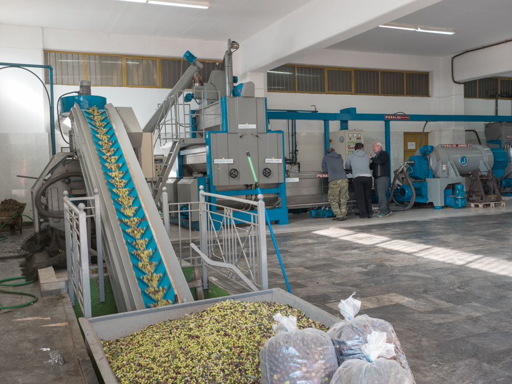 Hier werden Oliven zu Öl verarbeitet