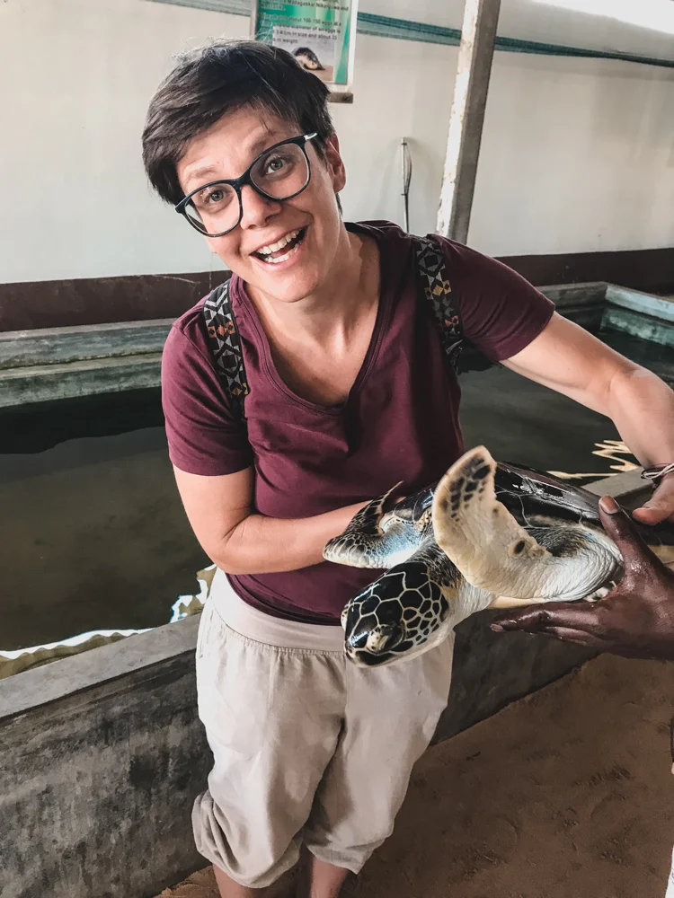 In der Turtle Hatchery