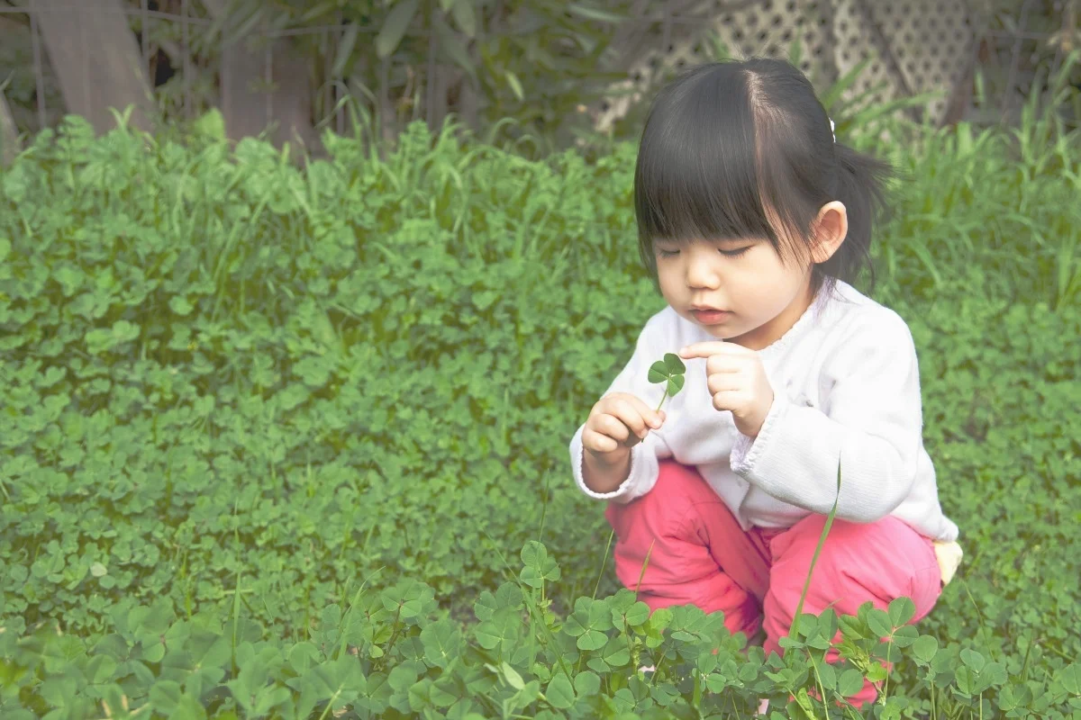 Raising the Mindful Child