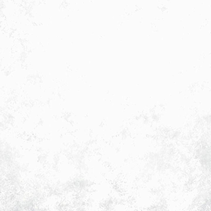 ZU_Intro.gif