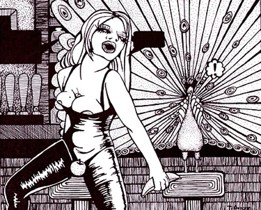 Peacock at the Rodeo (pen&ink) 9 in x 7.25 in.jpg