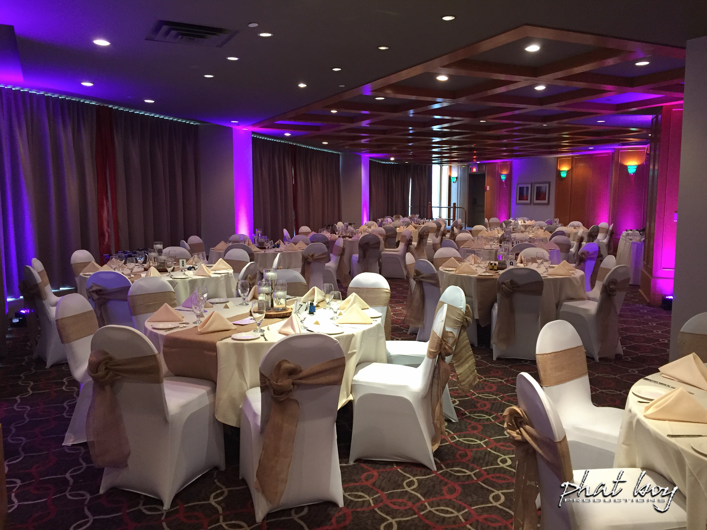 Rebecca__Joe_-_DJ_Decor__Specialty_Lighting_-2.jpg