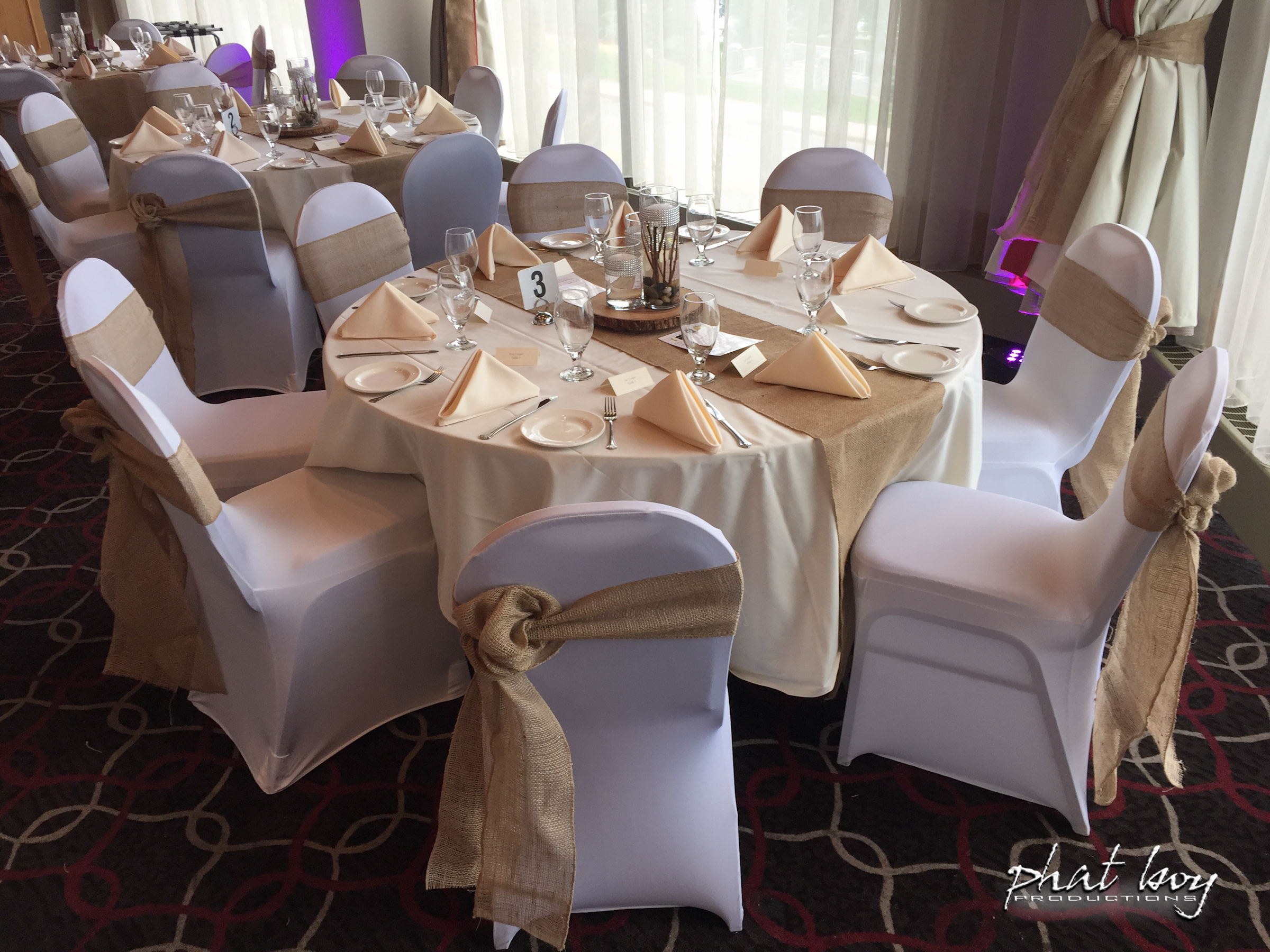 Rebecca__Joe_-_DJ_Decor__Specialty_Lighting_-6.jpg