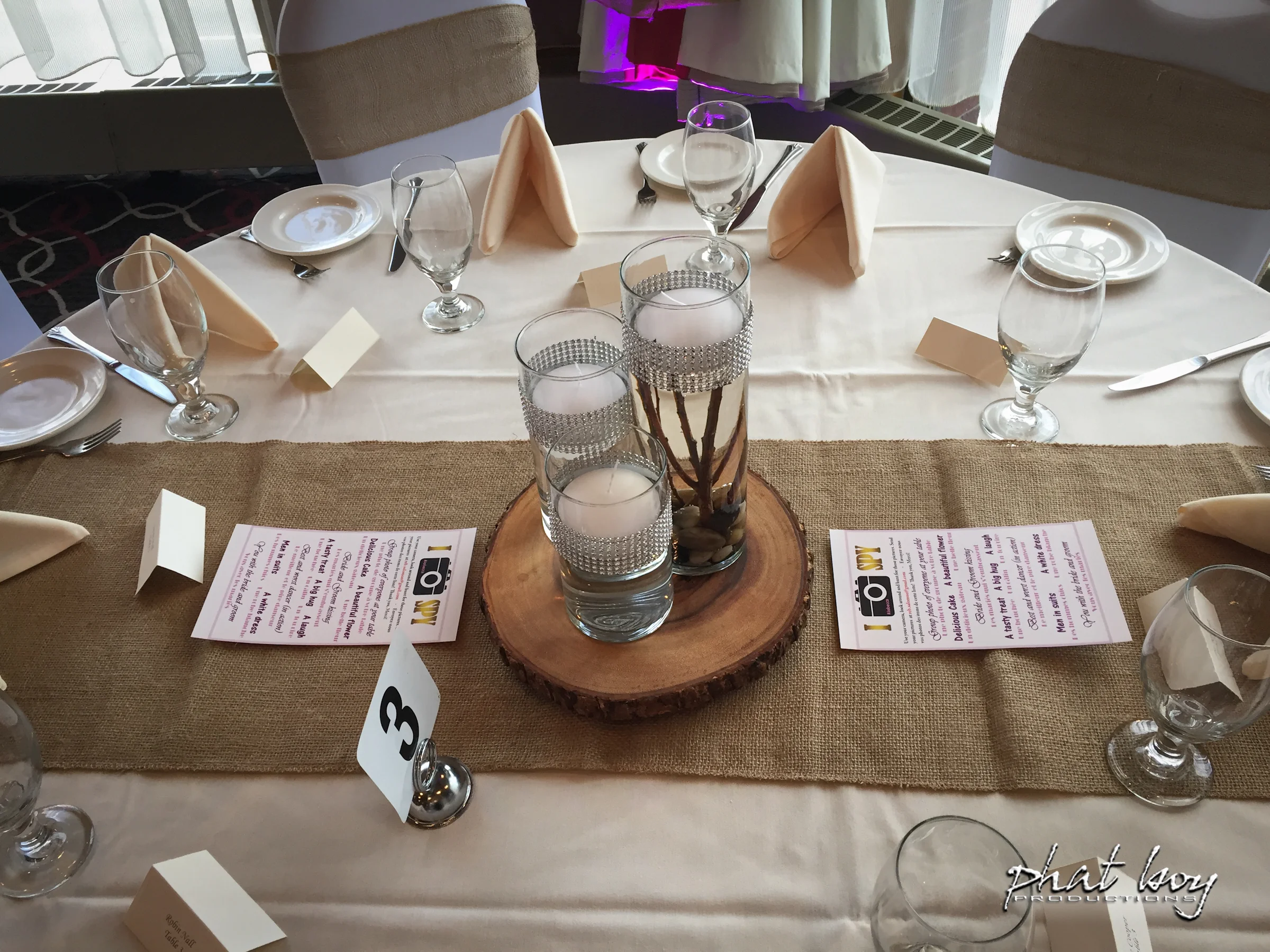 Rebecca__Joe_-_DJ_Decor__Specialty_Lighting_-5.jpg