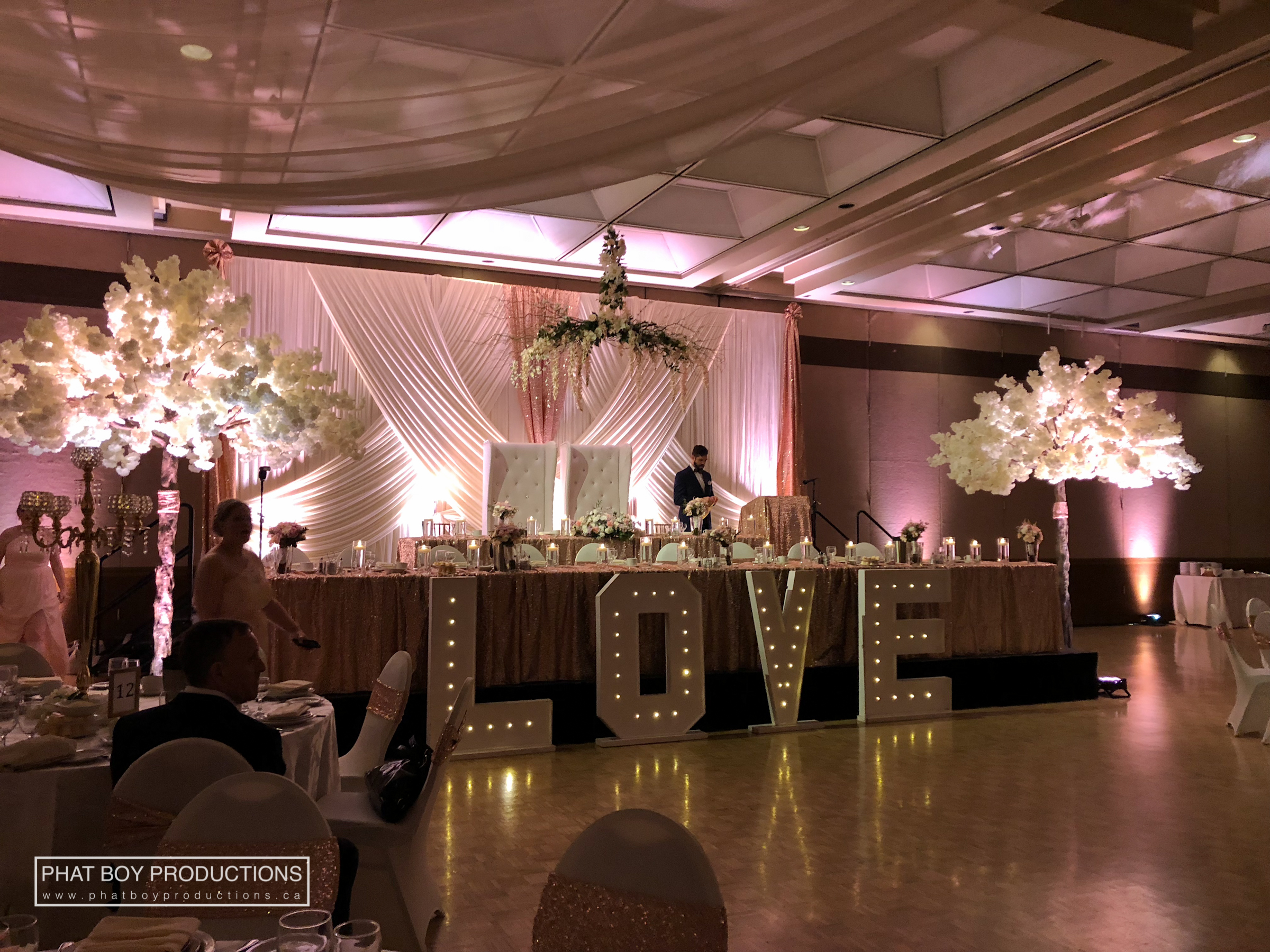 Ryan & Alicia - Specialty Lighting -2.jpg