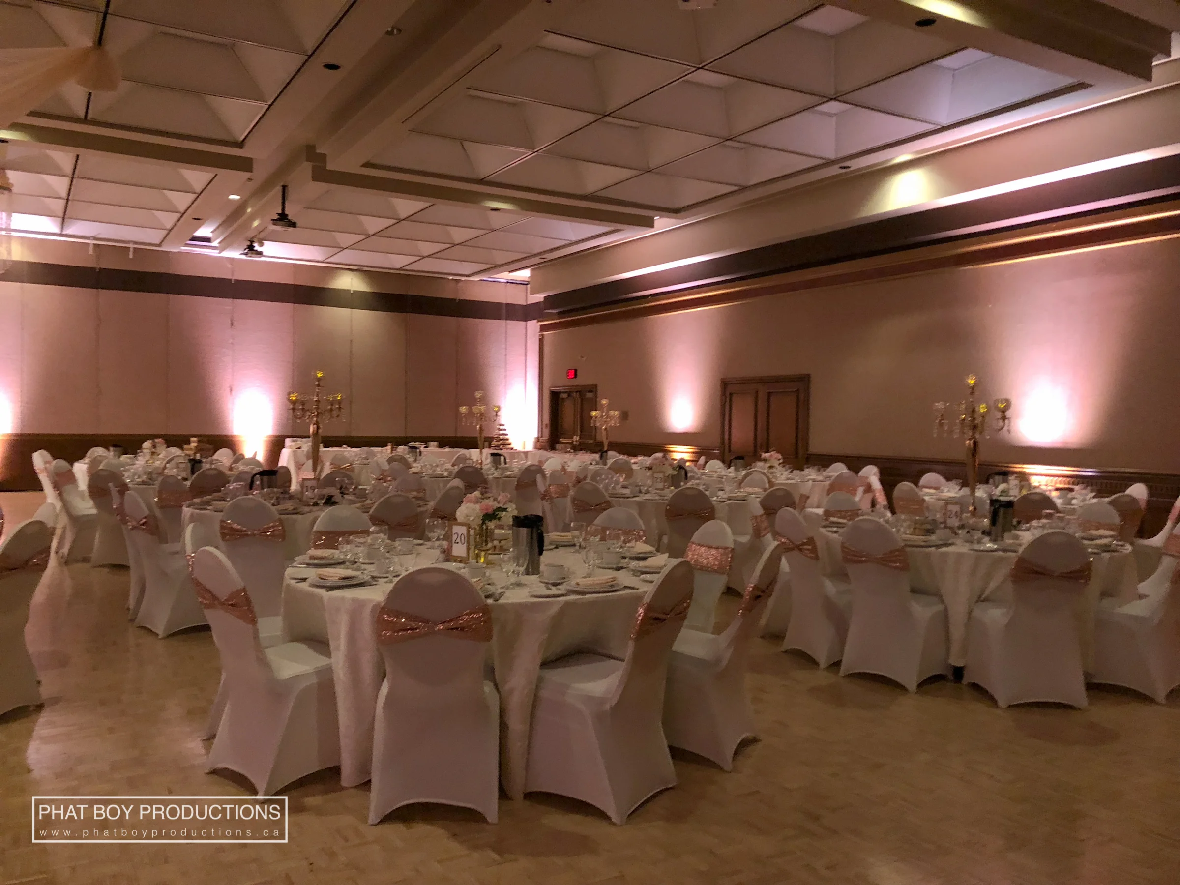 Ryan & Alicia - Specialty Lighting -1.jpg