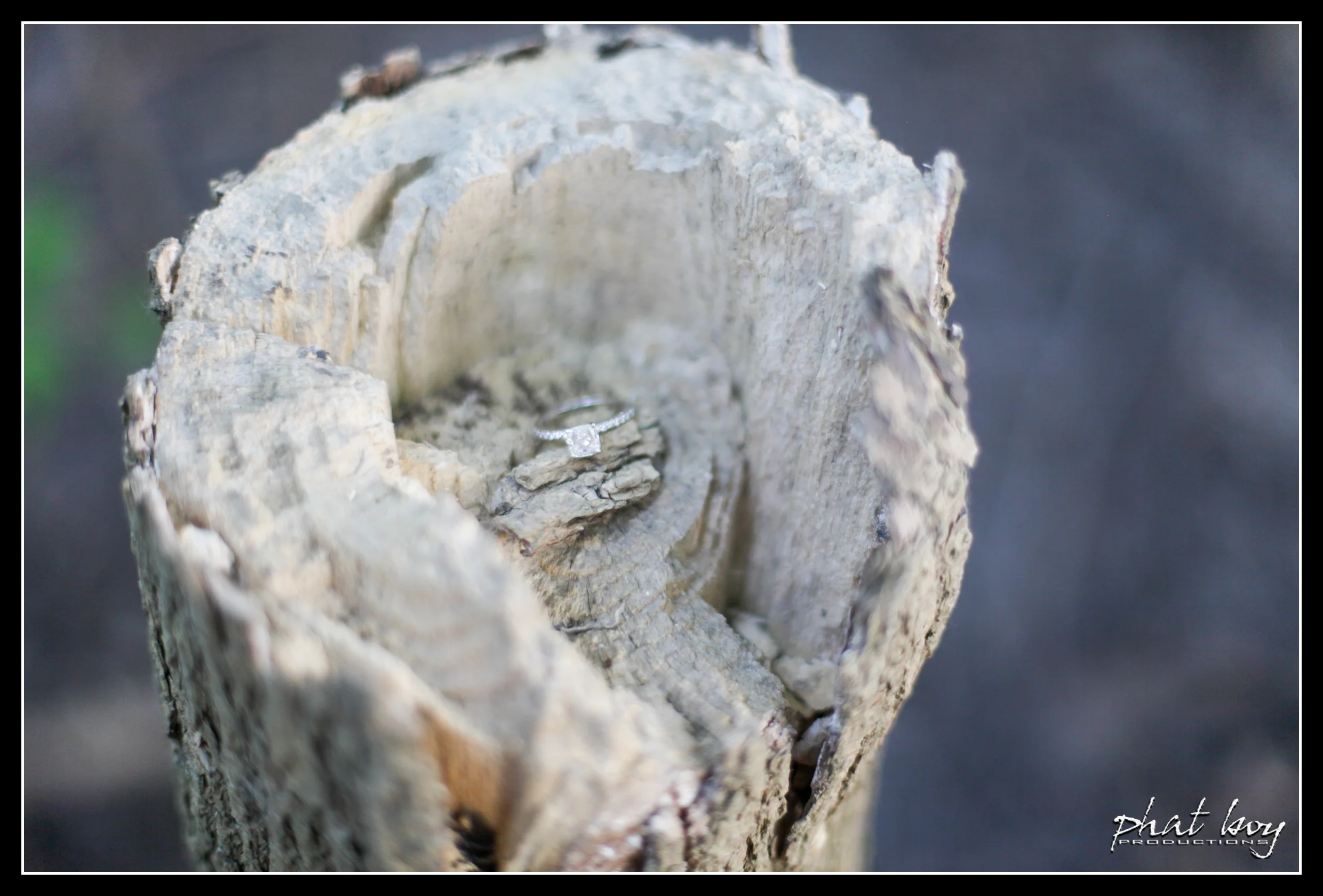 Radek & Noreen - Engagement Pics - 2013 - WEB EDITS-66.jpg