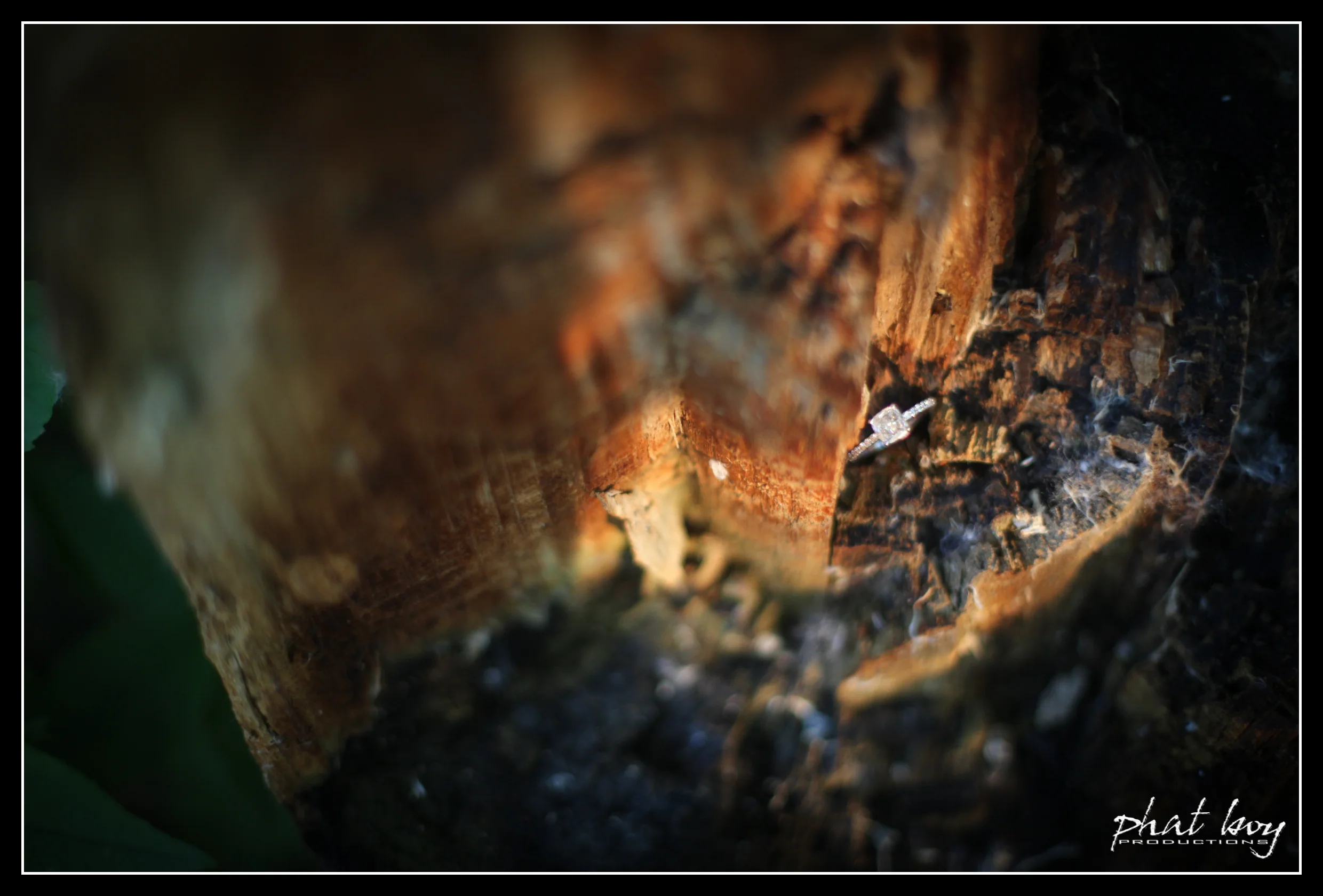 Radek & Noreen - Engagement Pics - 2013 - WEB EDITS-68.jpg