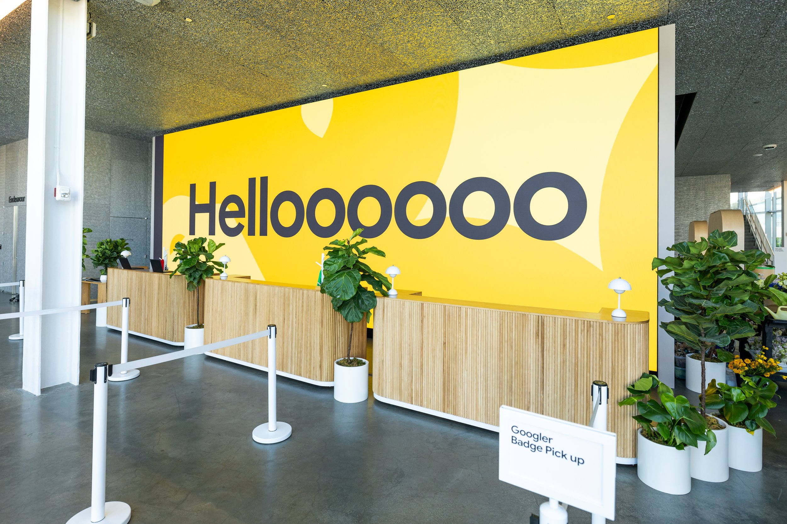 Copy of GML2025_0521_152514-2393_ALIVE.jpg