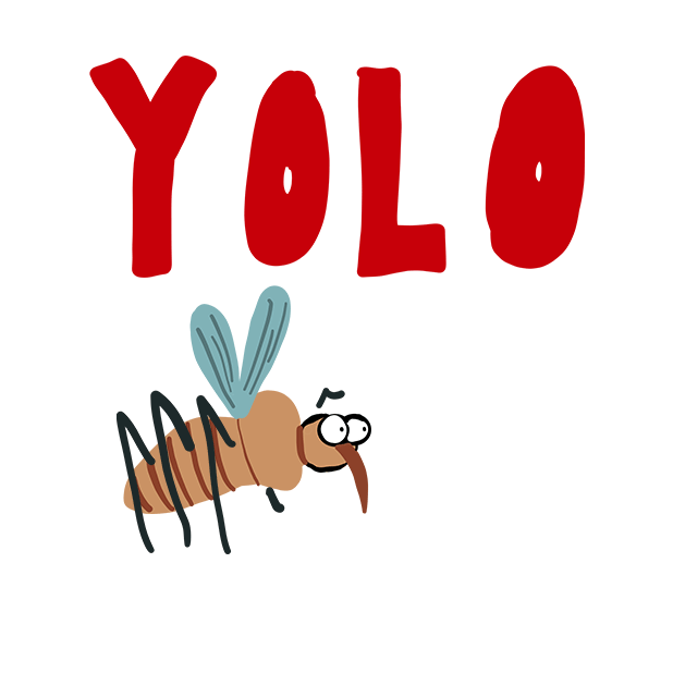 Yolo.gif