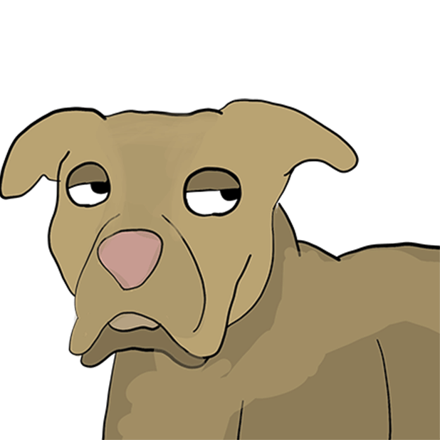 WTF-no-text.gif