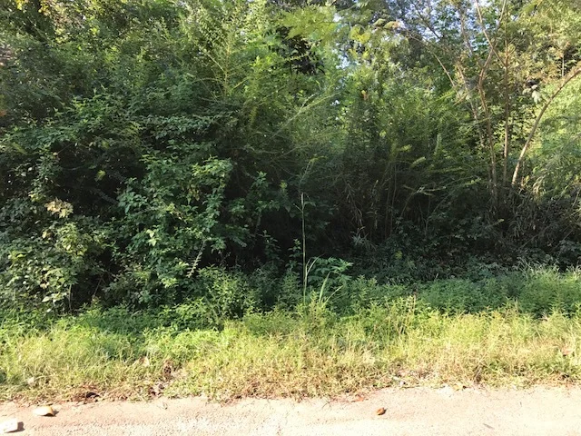 822-143  0 Sunnybrook A.JPG