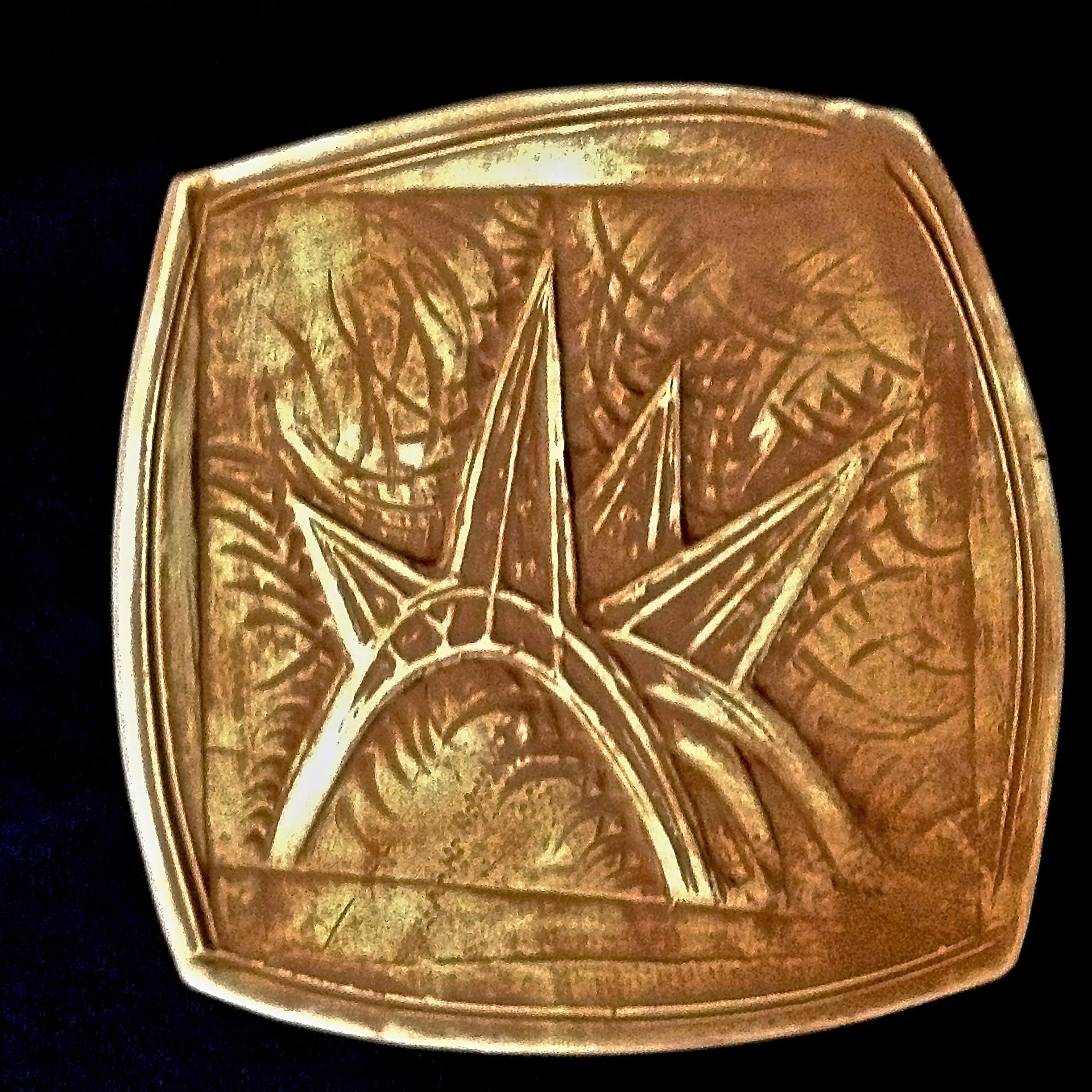 STEGOSTAURUS COASTER $15.00