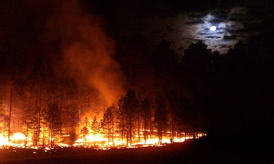 By Andrew Ashcraft of the Granite Mountain Hotshots 