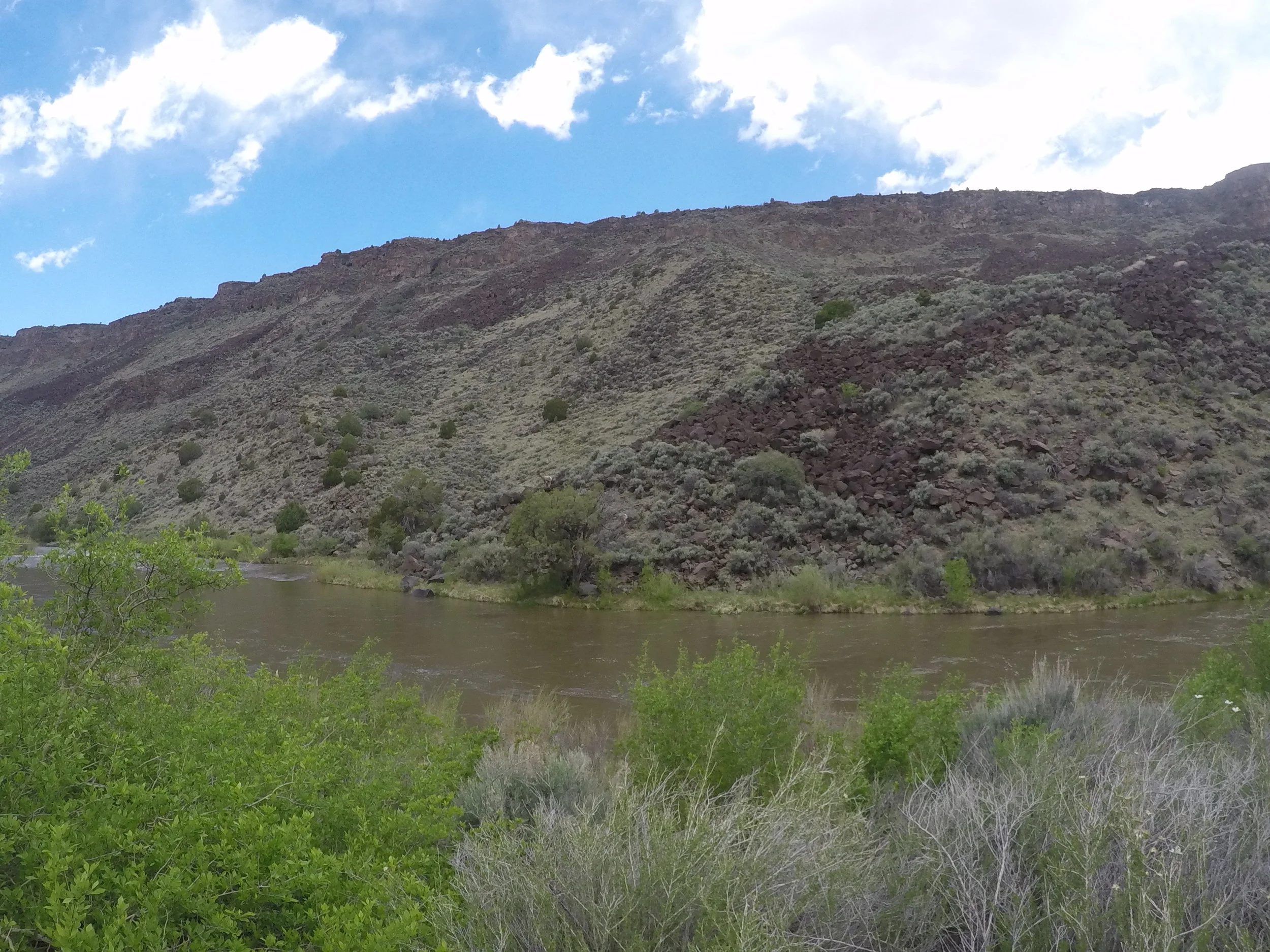 Can you spot the two bighorn sheep?