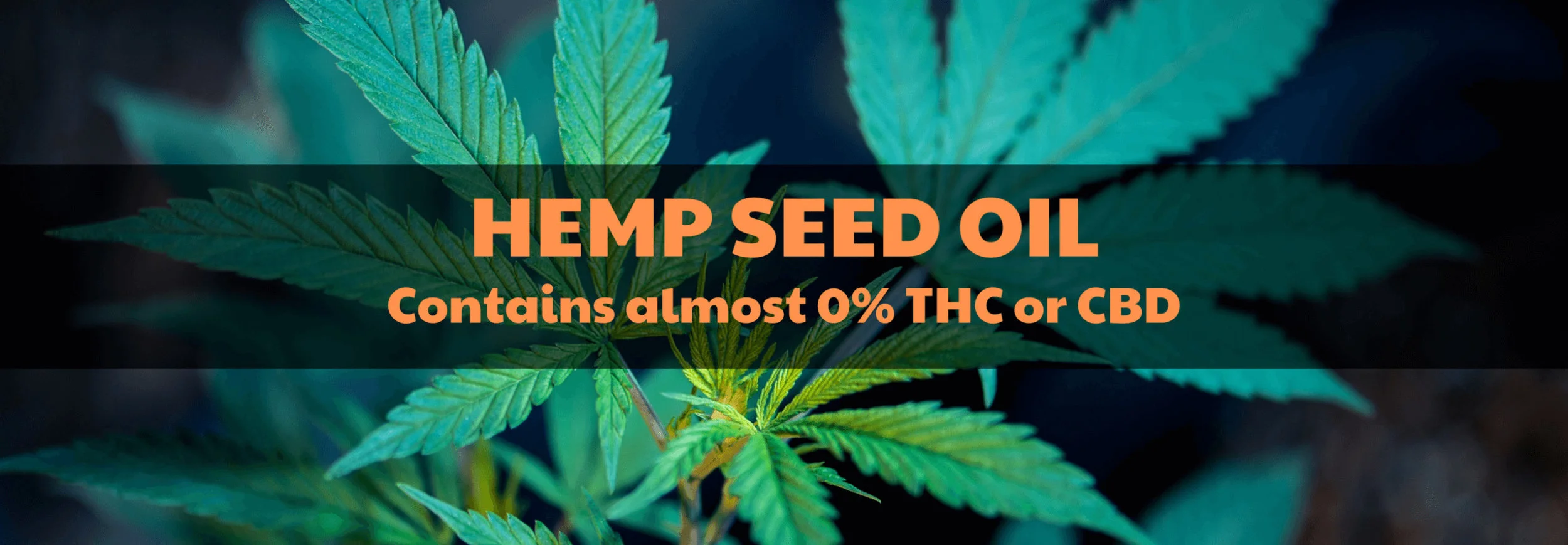 hemp-oil.jpg
