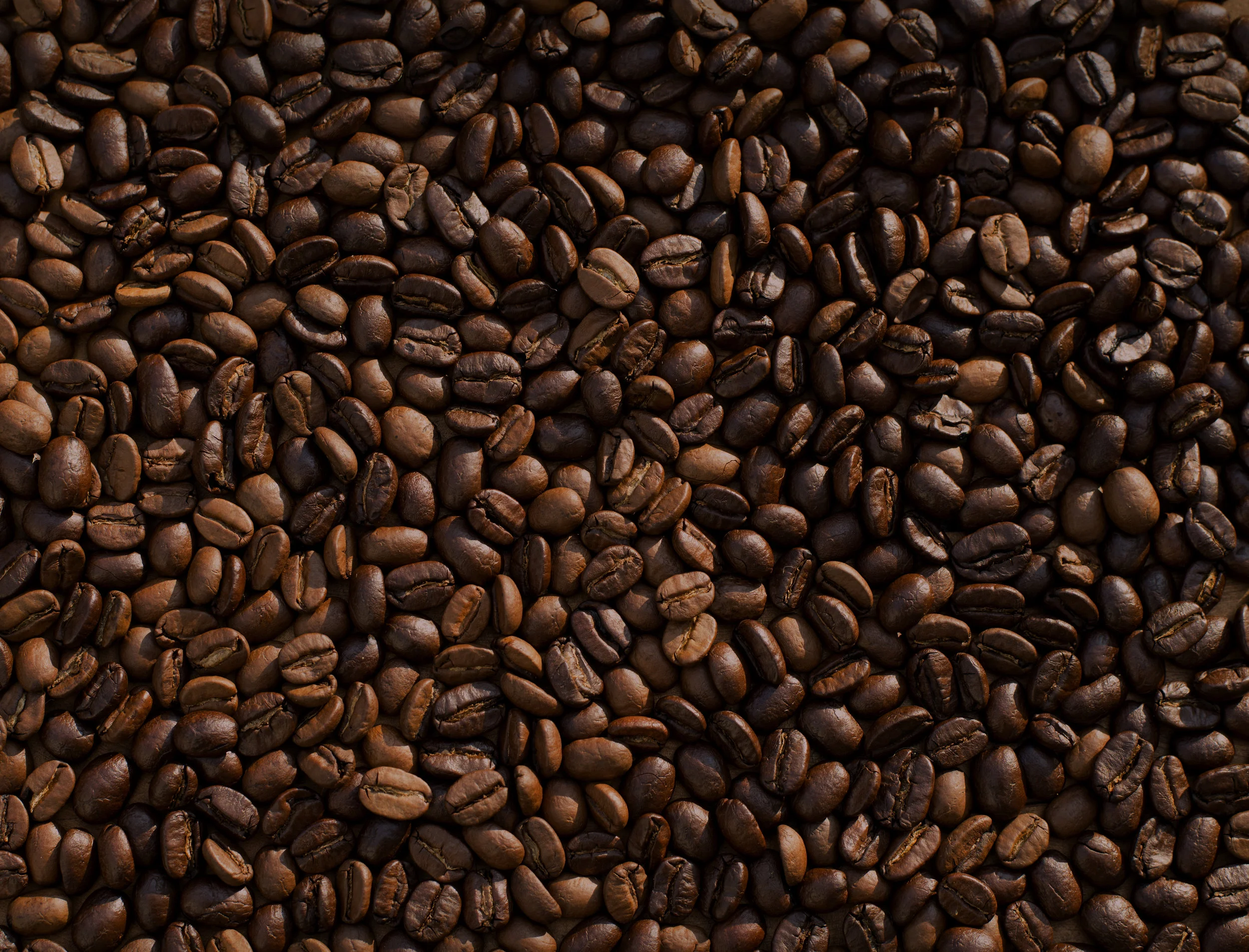 modafinil-caffeine.jpg