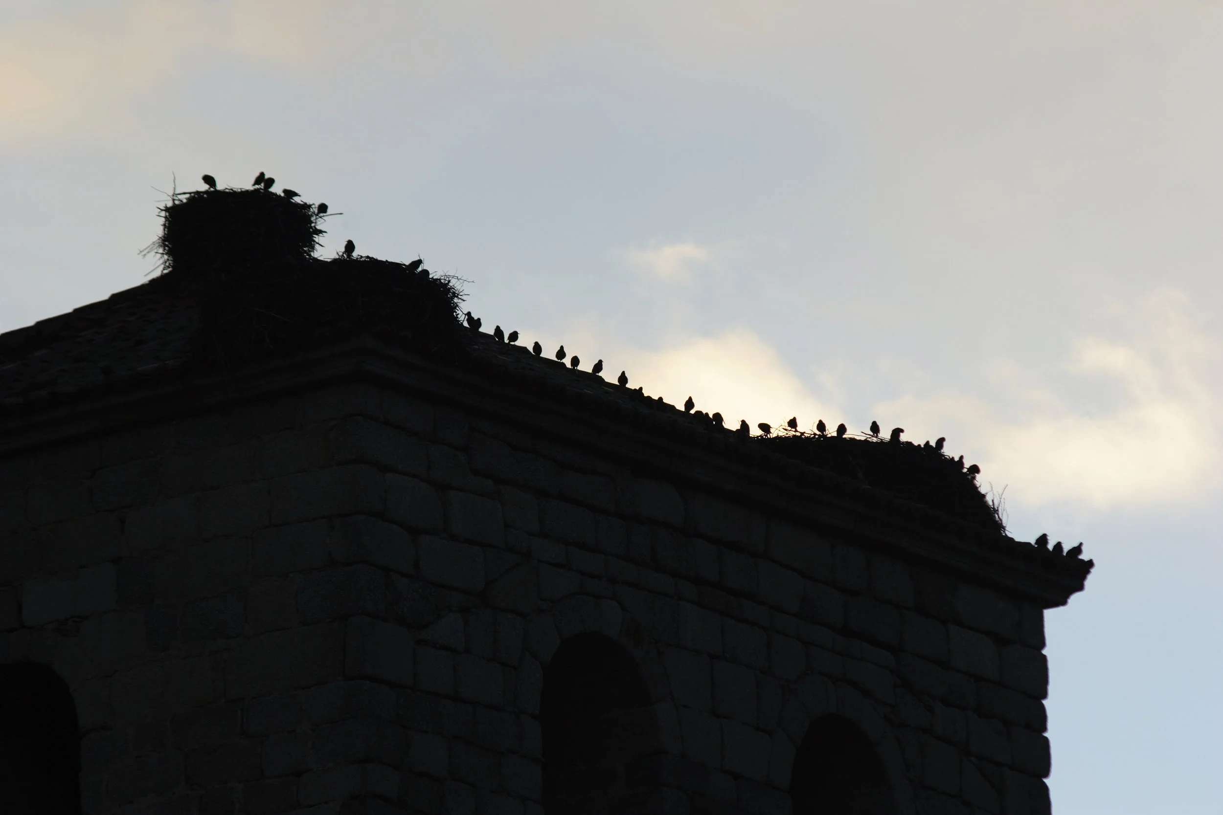Despertar en la torre